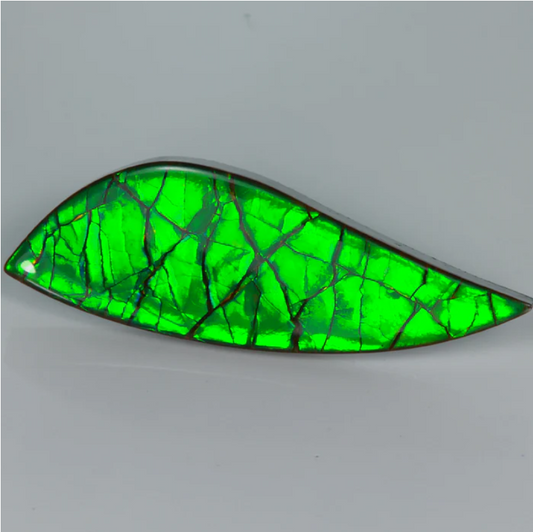 TEST Freeform Cabochon Ammolite Fossil 19.20 Carats